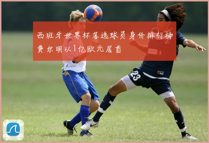 西班牙世界杯落选球员身价排行榜费尔明以1亿欧元居首