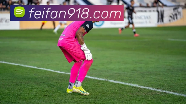 非凡体育品牌故事