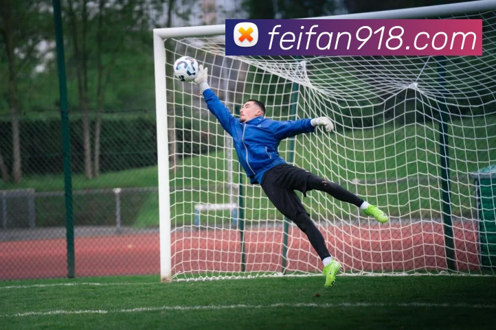 非凡体育服务体系